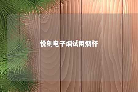 悦刻电子烟试用烟杆